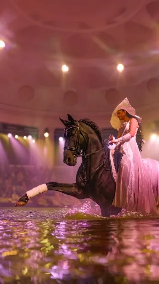 https://cdn.intickets.ru/sites/default/files/gallery_image/9ef6fdfb-44098129-09588d1b.jpg