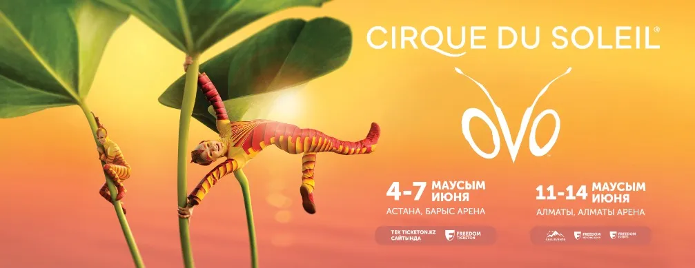 https://cdn.intickets.ru/sites/default/files/gallery_image/3113ad3d-47938acc-f4f512cd.jpg
