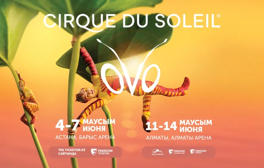 https://cdn.intickets.ru/sites/default/files/gallery_image/8a8a7d0a-479fa595-658cea19.jpg