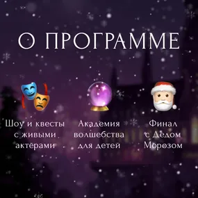 Волшебный Новый год в Визардии