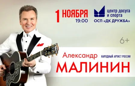 Концерт Александра Малинина