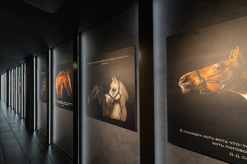 https://cdn.intickets.ru/sites/default/files/gallery_image/16fc9f12-4c548924-2c1a2416.jpg